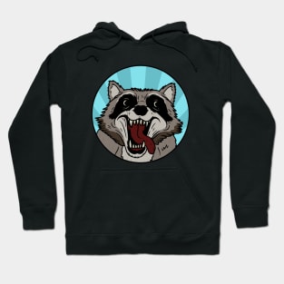 Raccoon Hoodie